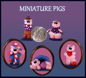miniature pigs